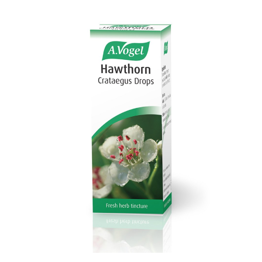 A Vogel Centaurium Centaury Drops 50ml